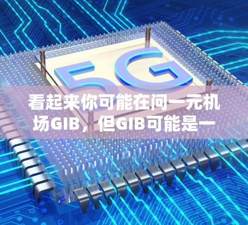 看起来你可能在问一元机场GIB,但GIB可能是一个缩写或名字。为了更好地帮助你,我需要更多上下文信息。以下是一些建议