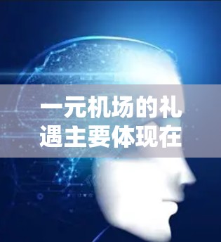 一元机场的礼遇主要体现在机场为旅客提供便利和友好的服务。具体来说，这些服务包括